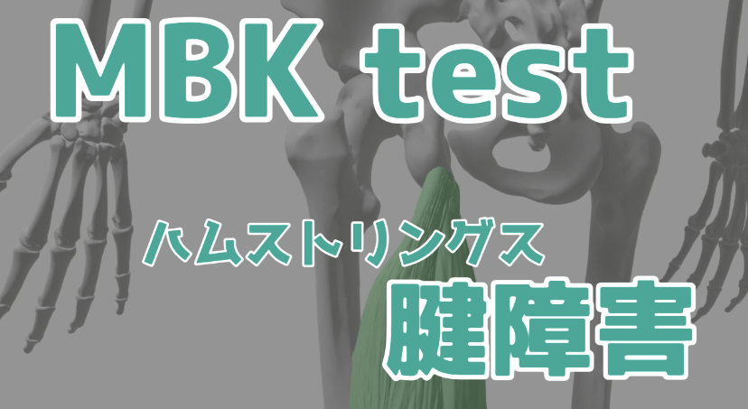 MBK test【近位ハムストリングス腱障害】