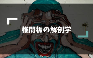 椎間板の解剖学