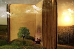 可動域検査を深掘りするpart.1[1-16]