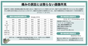 痛みの原因にならない画像所見 - Issue #2