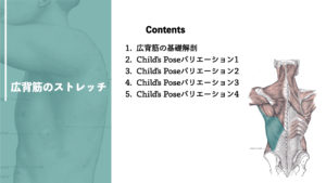 広背筋のストレッチ「Child’s Pose」