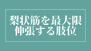 梨状筋を最大限伸張する肢位
