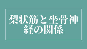 梨状筋と坐骨神経の関係【誤解も含めて】